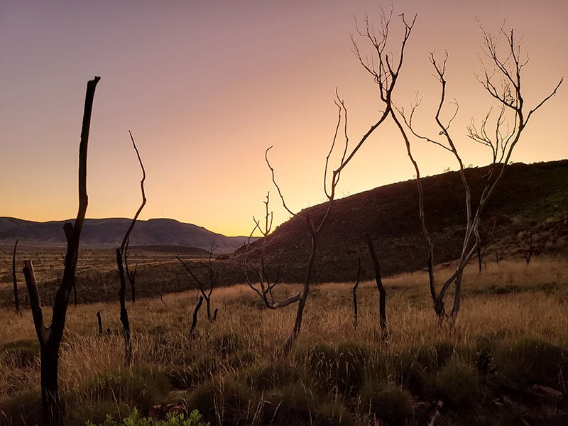 Mount Bruce in Karijini National Park in early morning.
