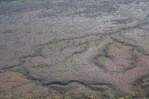 Vegetation in valley at Karijni National Park from Mount Bruce lookout