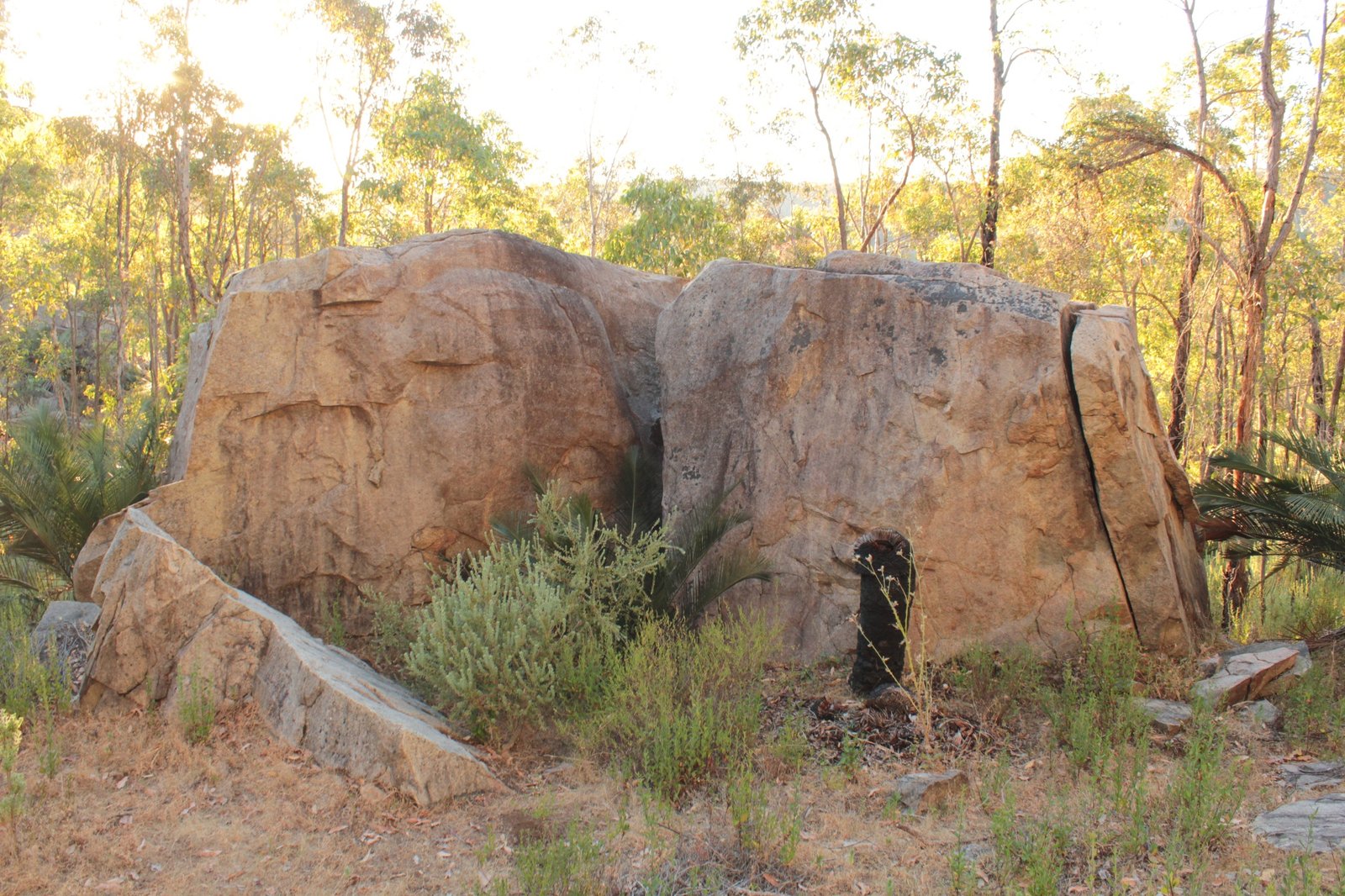 Two boulders in Avon Valley National Park, Bald Hill with forest in background.