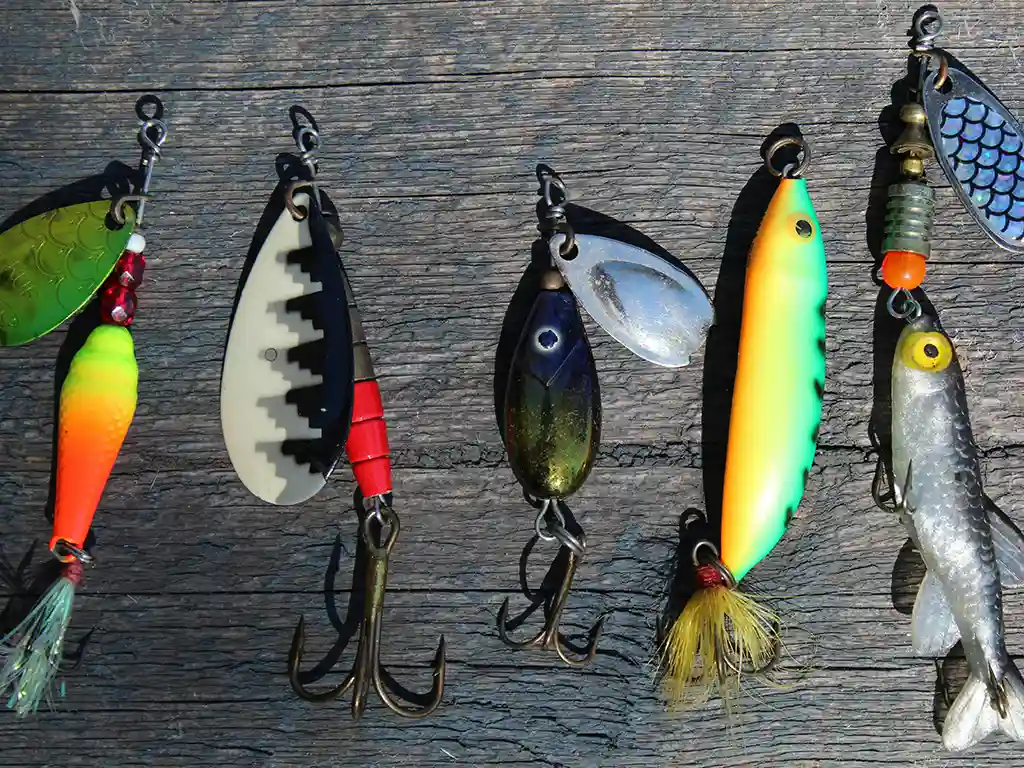Five fishing lures including a soft plastic fishing lure on a panel of Point Walter Jetty in Perth WA.
