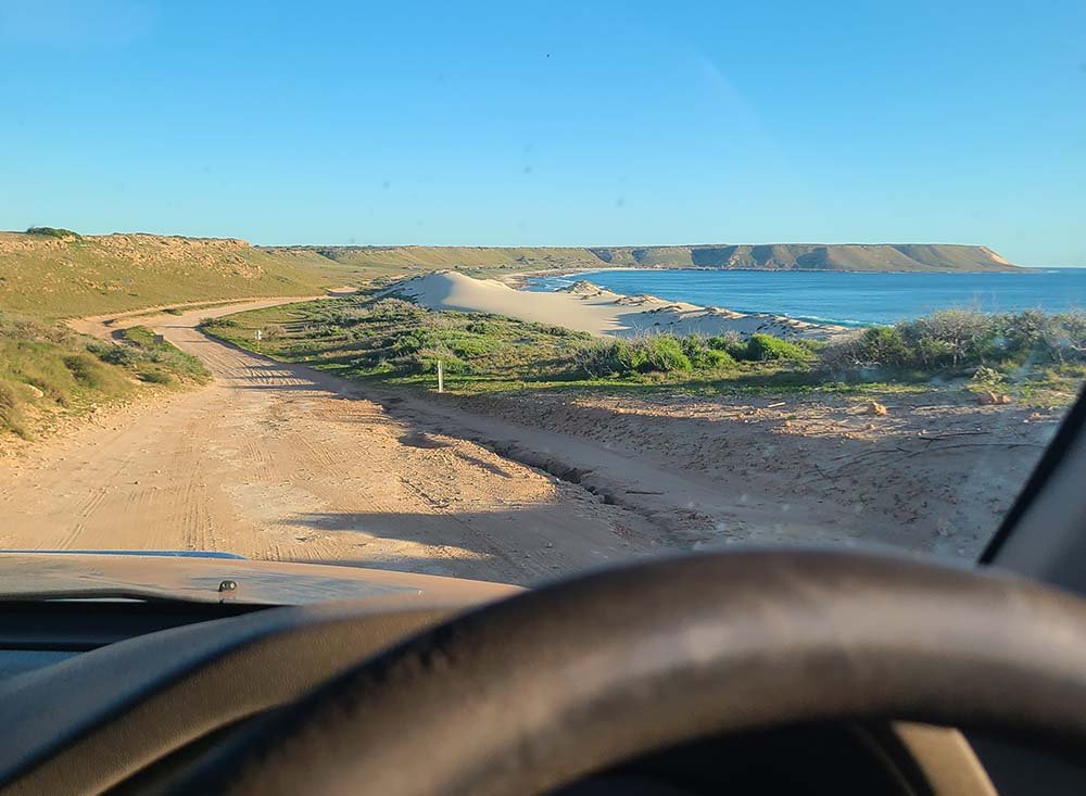 Photo from drivers seat in 4WD looking at dirt trail along coast to Red Bluff campsite