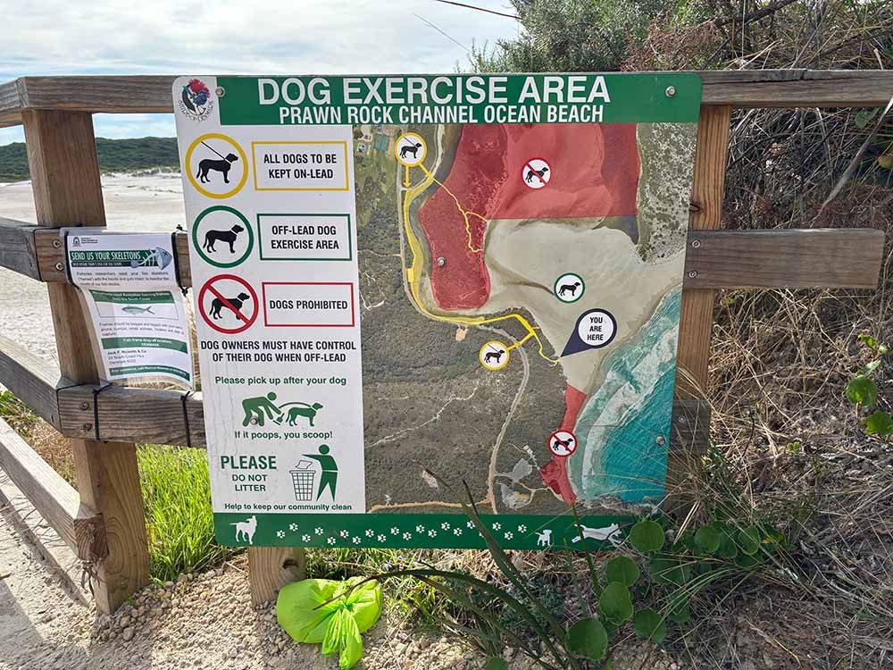 Image of Ocean Beach's dog exercise area