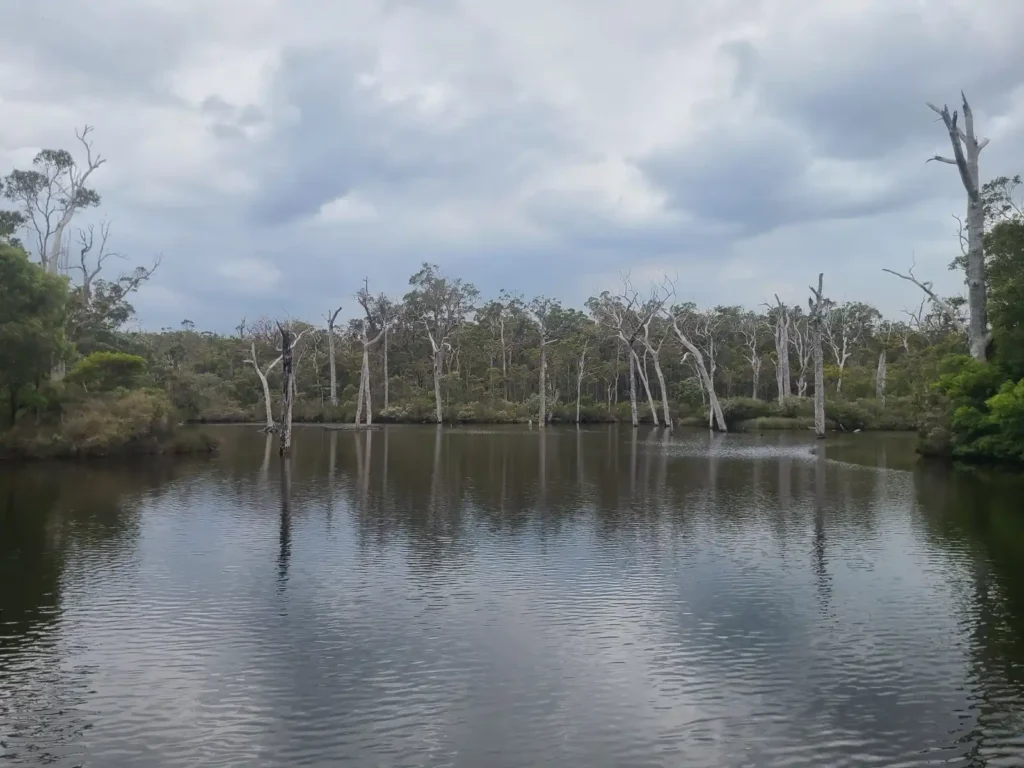 Margaret River along Darch Road on a cloudy day