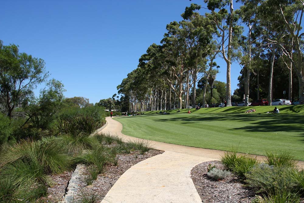 Walkway in Kings Park with large trees in distance
