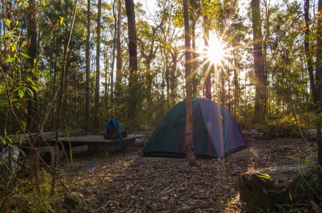 Sun streaming through tall trees onto a sole tent in the middle of the forest in Margaret River.