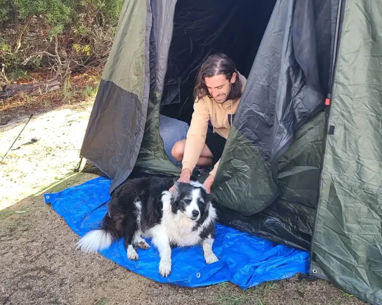 Dog and camper at the entrance of tent at Fair Harvest retreat and campground in Margaret River, WA.