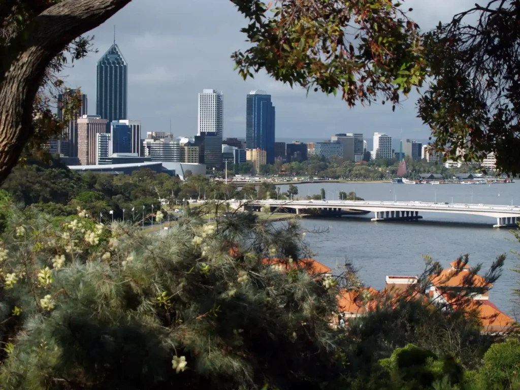 View of Perth City from King's Park (Eliza's Lookout hiking trail), with banksias and wildflowers in the foreground.