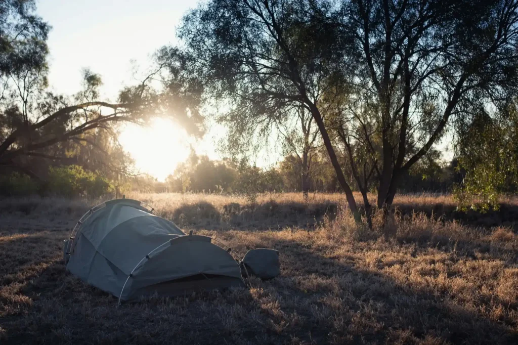 Open campsite in Western Australia with sun rising in background and large trees in foreground. Swag is featured to the left of the image.
