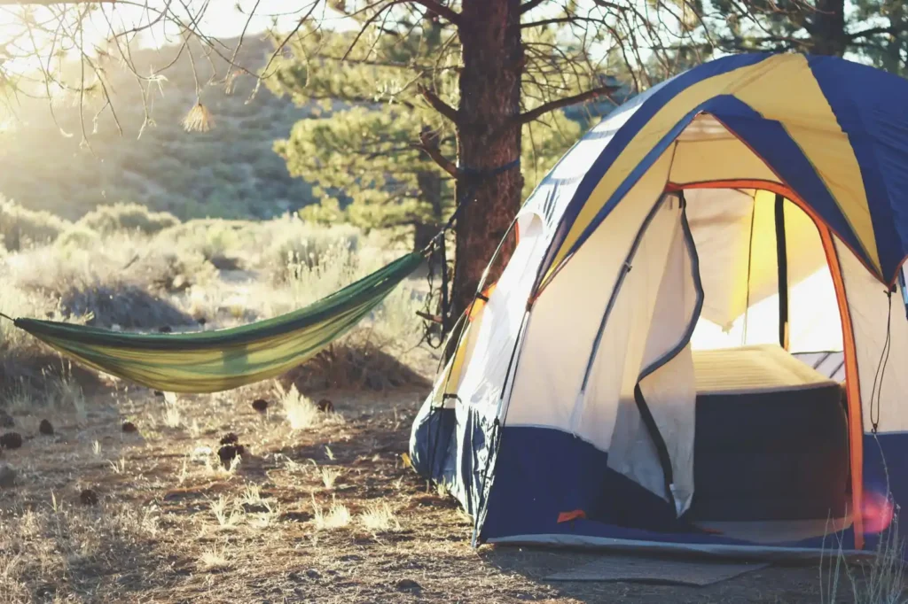 Tent and hammock set up at an off-grid camping spot near Perth, West Australia, the sun streaming through the tent's open doors and trees and shrubs in the background.