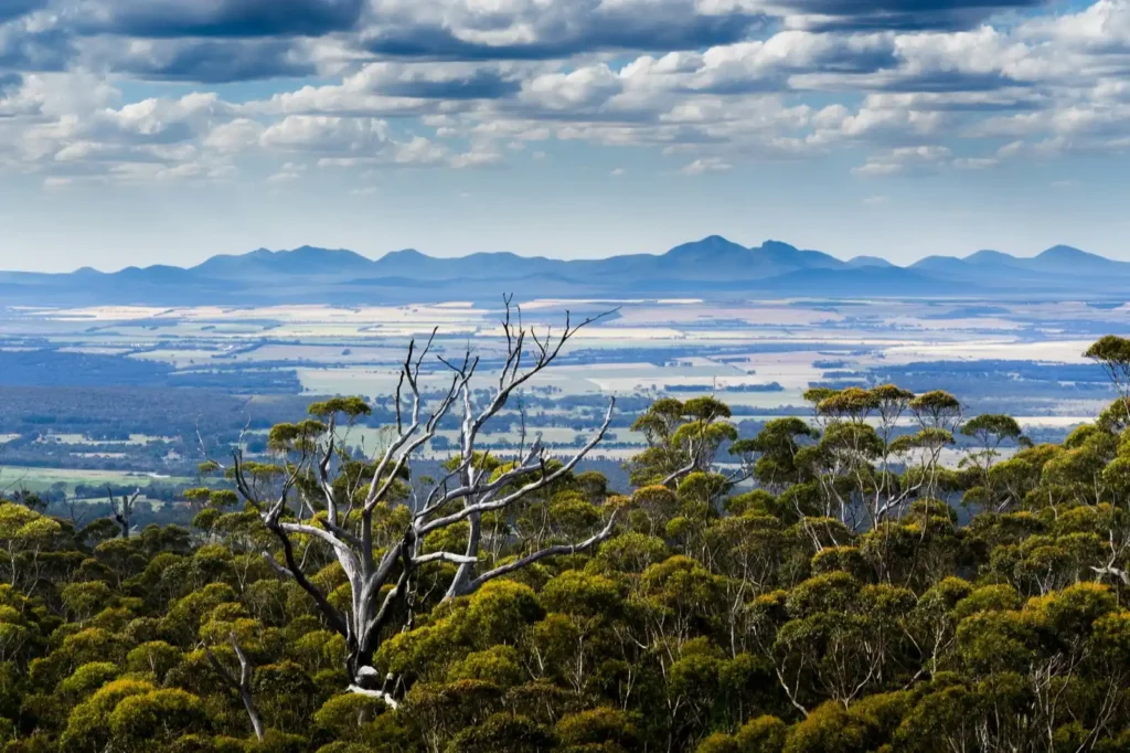the porongurups national park from a far distance, with ranges as silhouettes under a bright blue sky