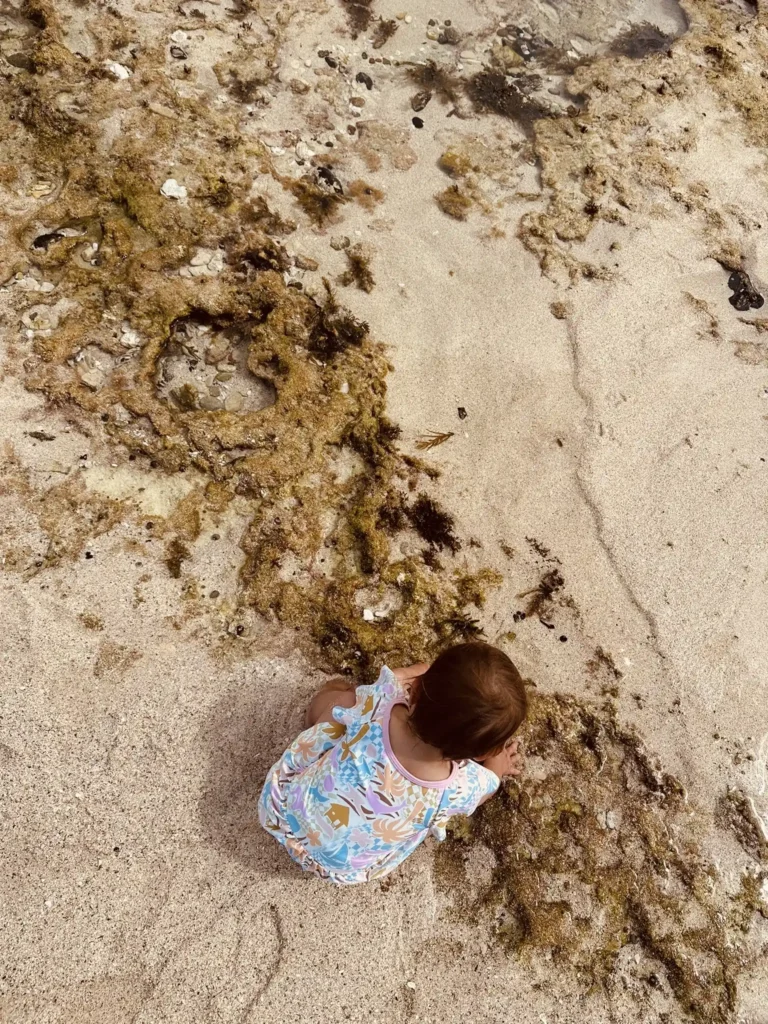 Toddler finding shells in a rock pool in Margaret River.